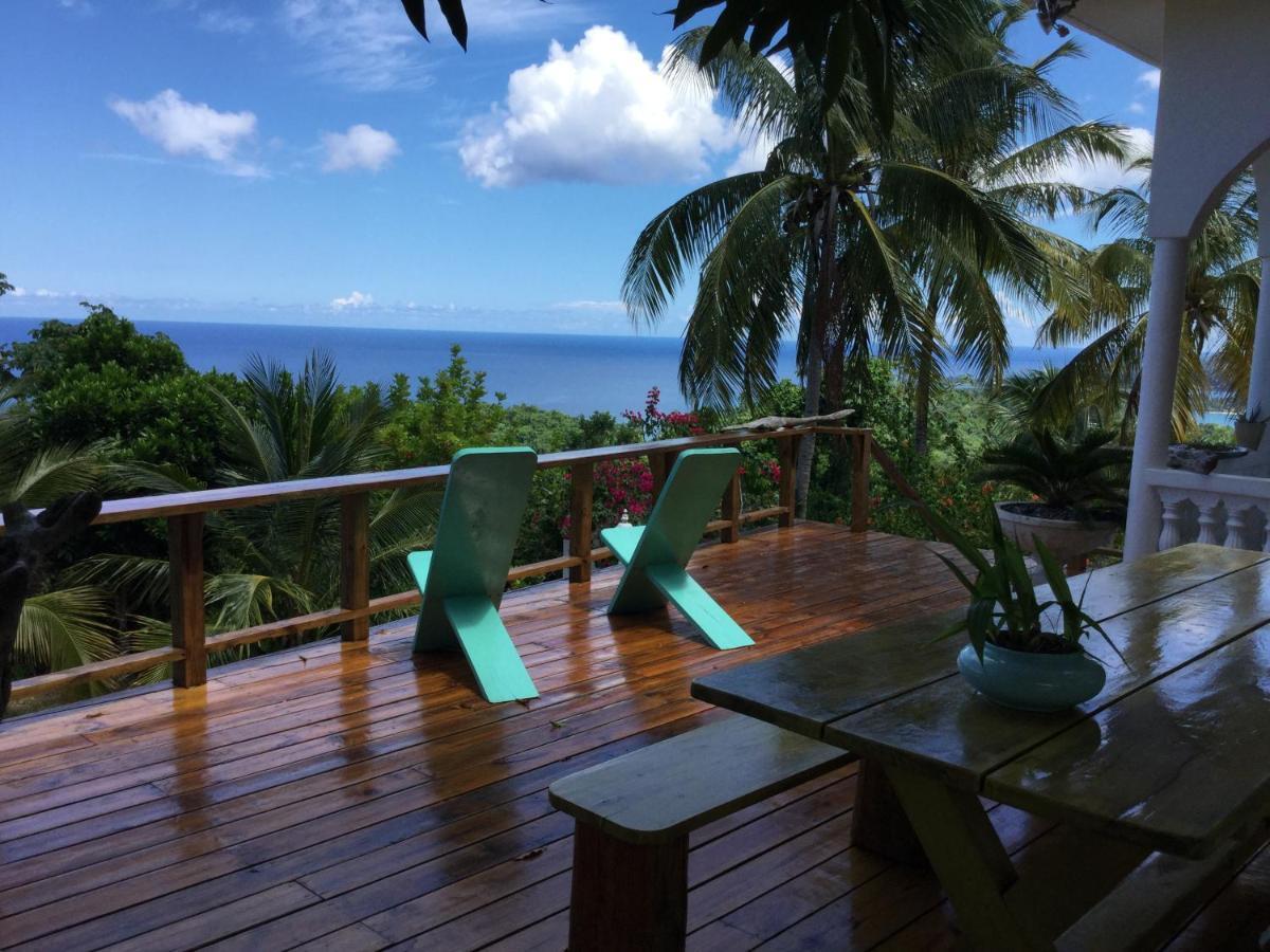 Fantastic Views At Friends Lejlighed Port Antonio Eksteriør billede